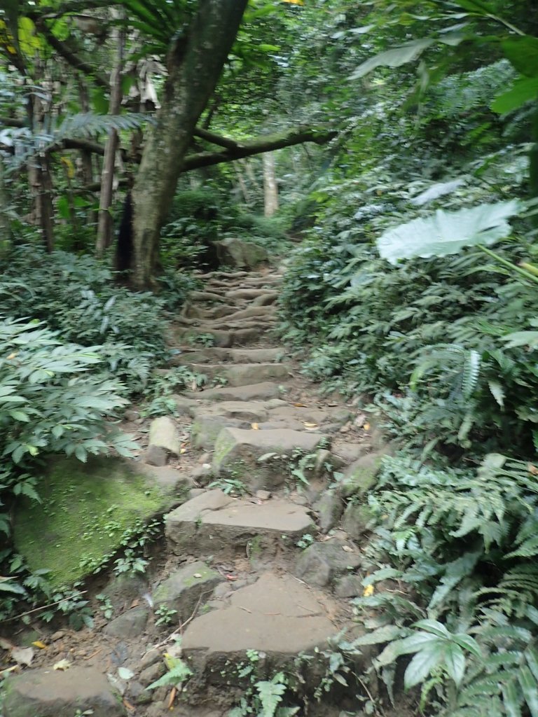 P2107477.JPG - 大溪  溪洲山登山步道