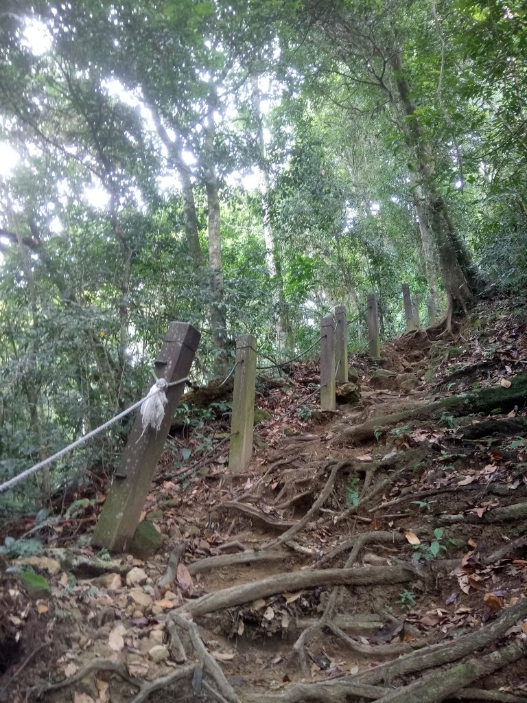 DSC_1236.JPG - 石壁山  嘉南雲峰步道