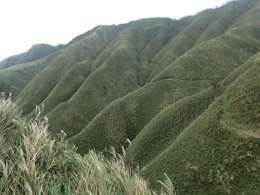 PB159042.JPG - 礁溪  聖母登山步道  (抹茶山)