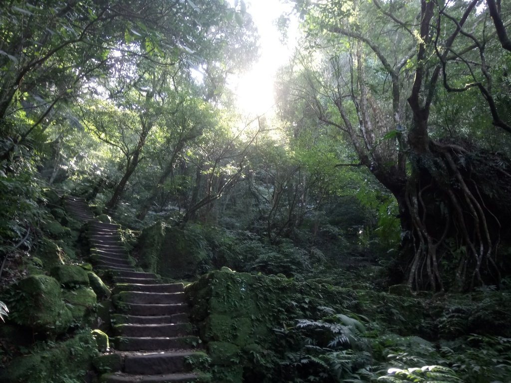 DSC_2167.JPG - 再訪---  平溪  孝子山登山步道