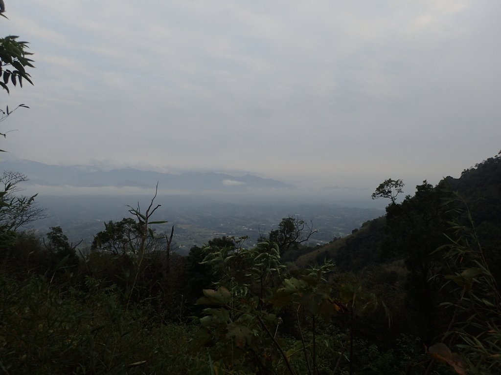 P1294576.JPG - 大湖  關刀山步道  (聖關段)