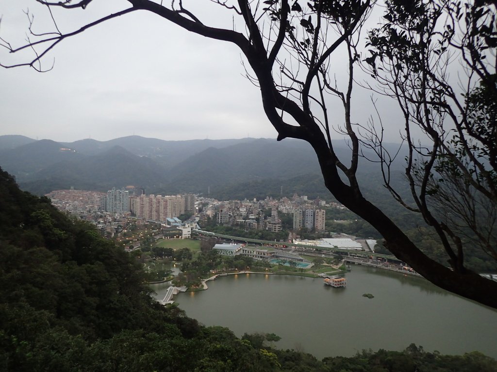 P3116950.JPG - 內湖  白鷺鷥山親山步道