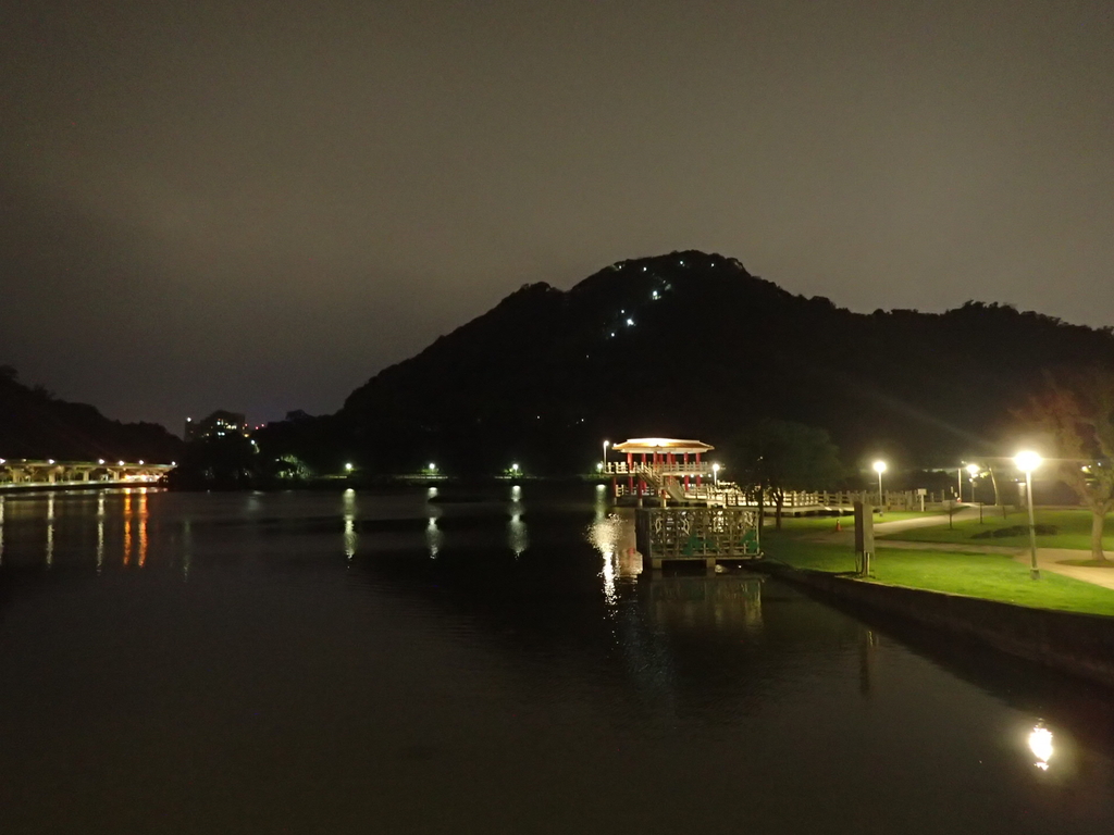 P3117006.JPG - 內湖  大湖公園之夜色