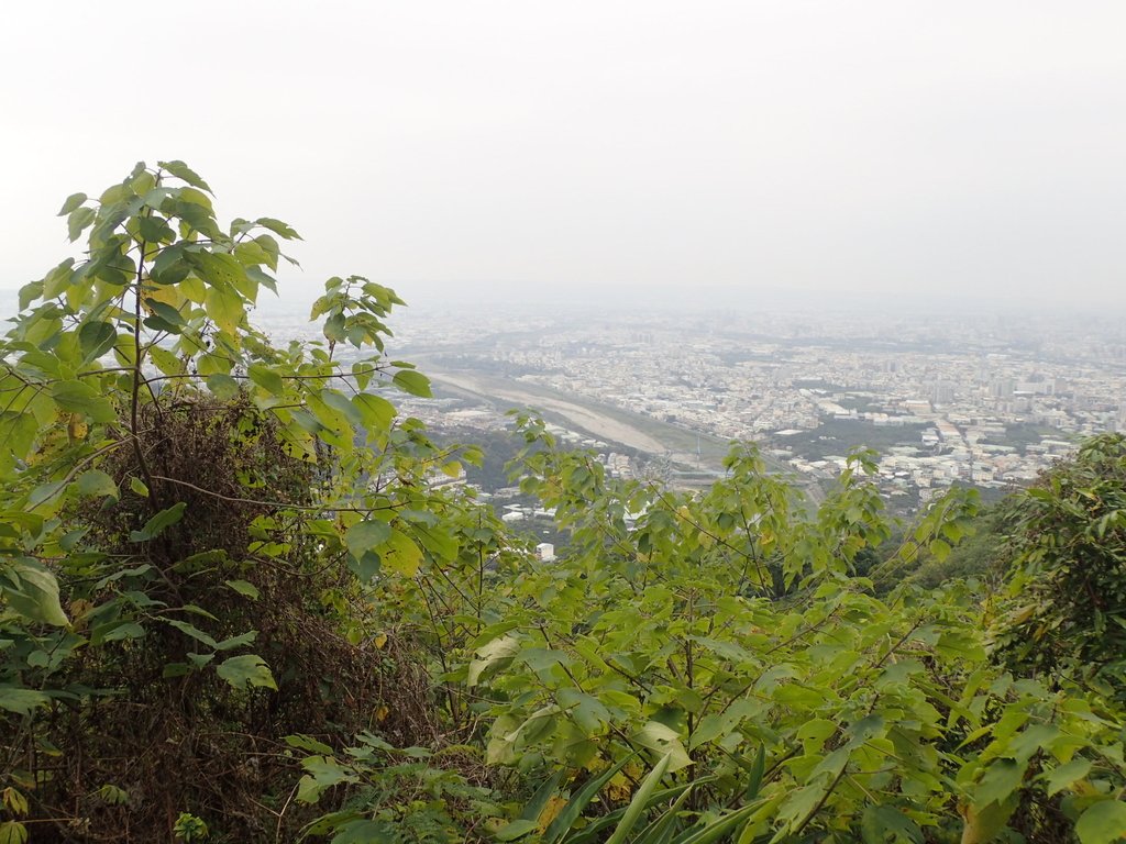 P2095053.JPG - 太平  三汀山  (望高寮)