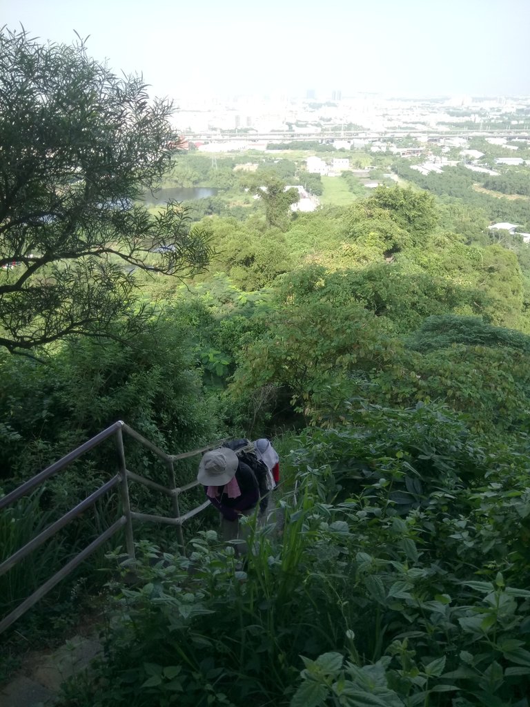 DSC_2066.JPG - 大社  觀音山步道