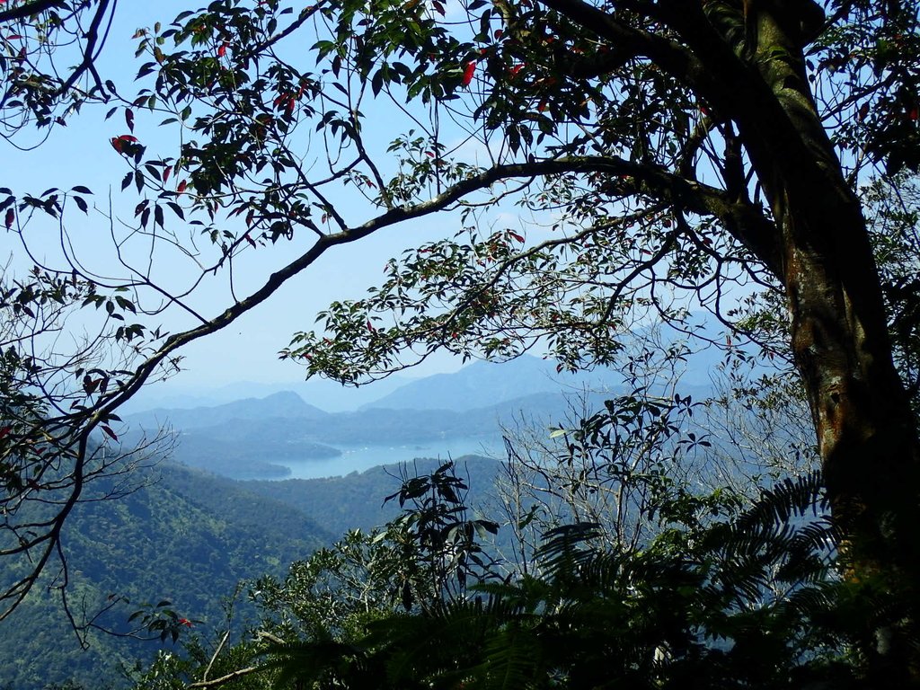 PA040407.JPG - 魚池  過坑山登山步道