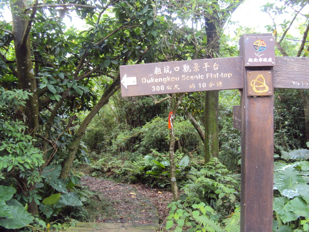 DSC07599.JPG - 瑞芳  粗坑口登山步道