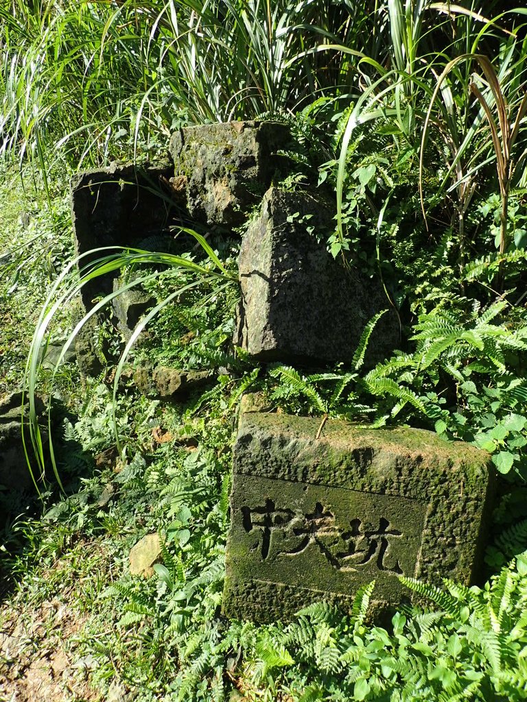 P1102216.JPG - 本山五坑  黃金神社