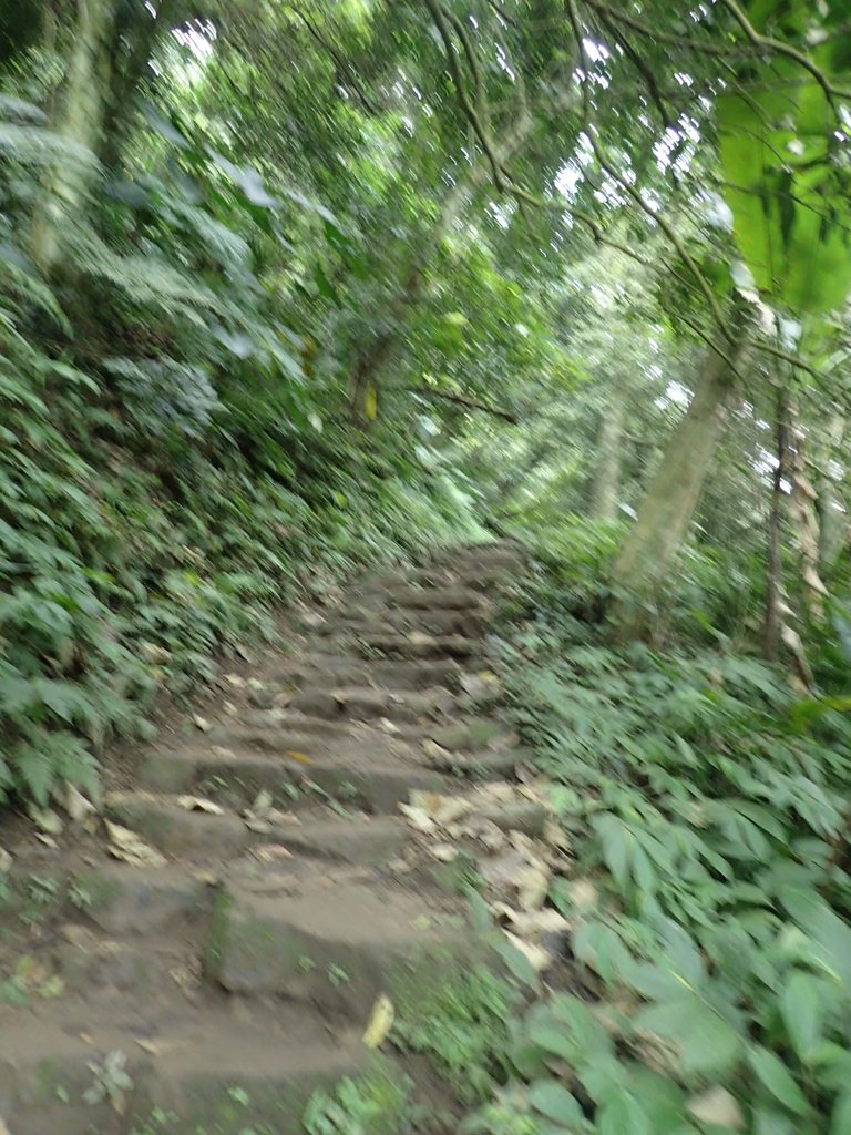 P2107486.JPG - 大溪  溪洲山登山步道