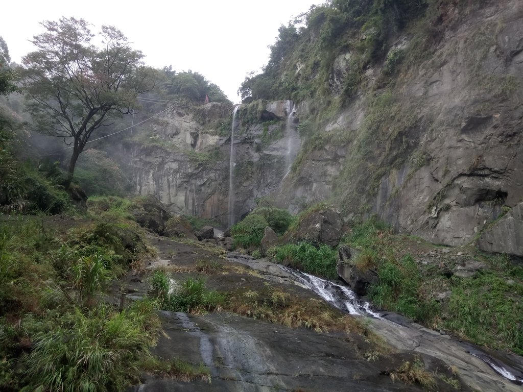 DSC_1168.JPG - 草嶺  蓬萊瀑布步道