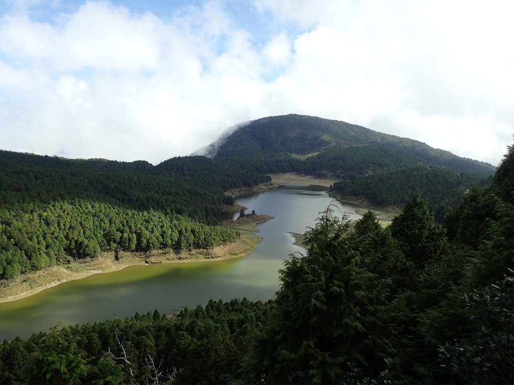 PB265483.JPG - 太平山  翠峰湖環山步道  02