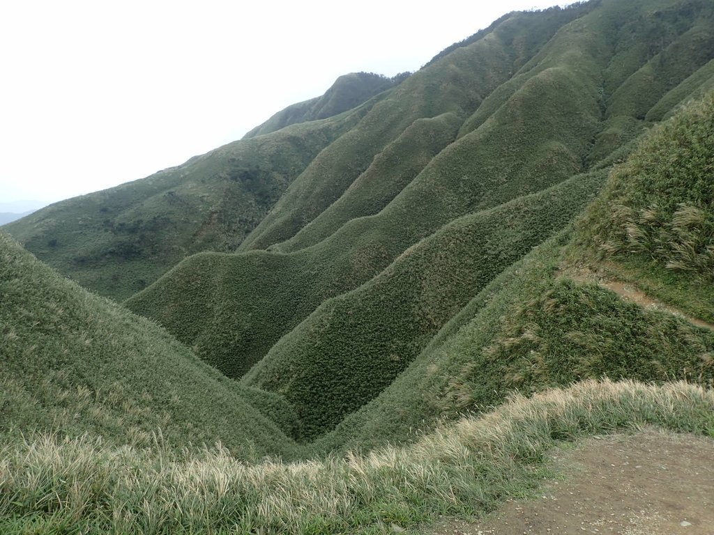 PB159044.JPG - 礁溪  聖母登山步道  (抹茶山)