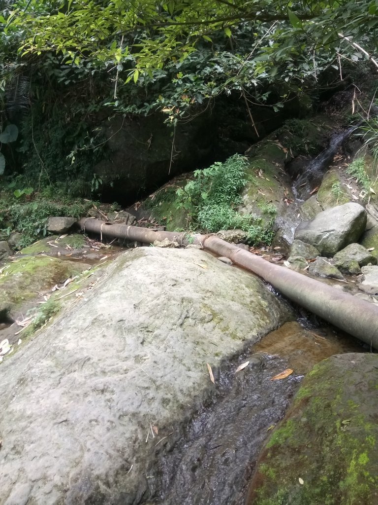DSC_0566.JPG - 鹿谷  長源圳古道