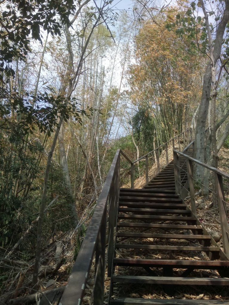 DSC_7292.JPG - 草屯平林  九九峰森林步道