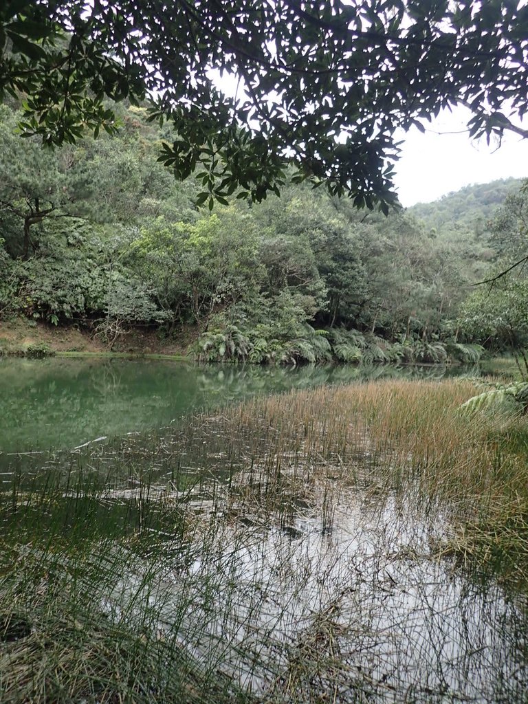 P3160126.JPG - 汐止  柯子林山  如意湖