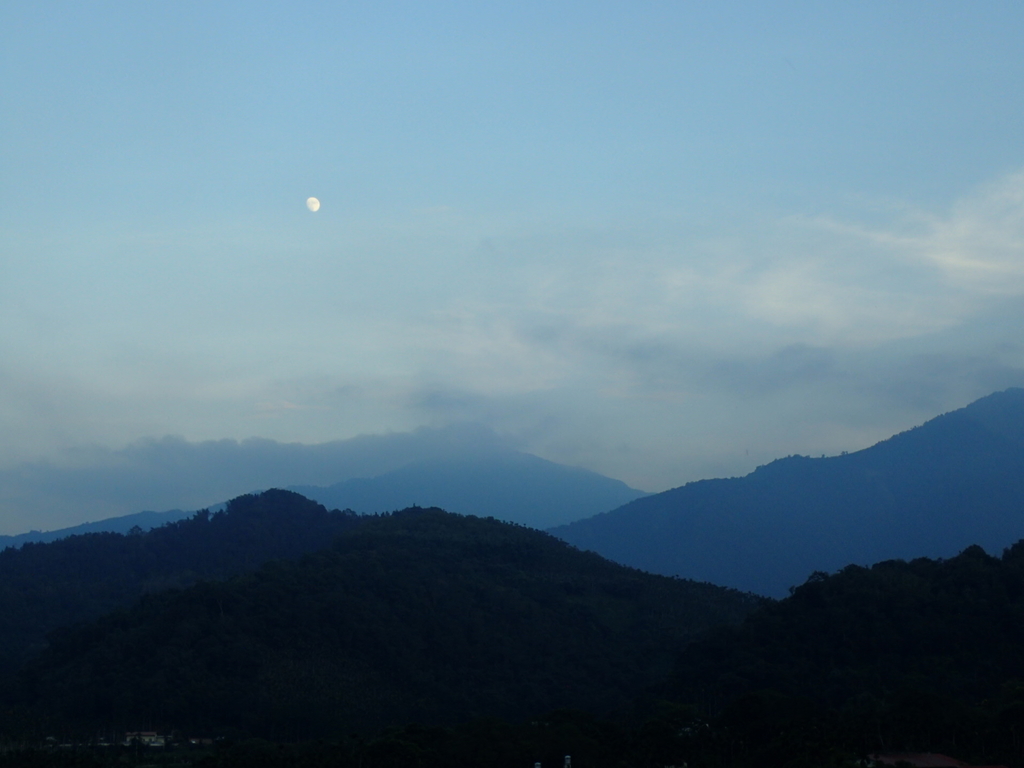 PA282218.JPG - 魚池  金龍山  (槌子寮山)