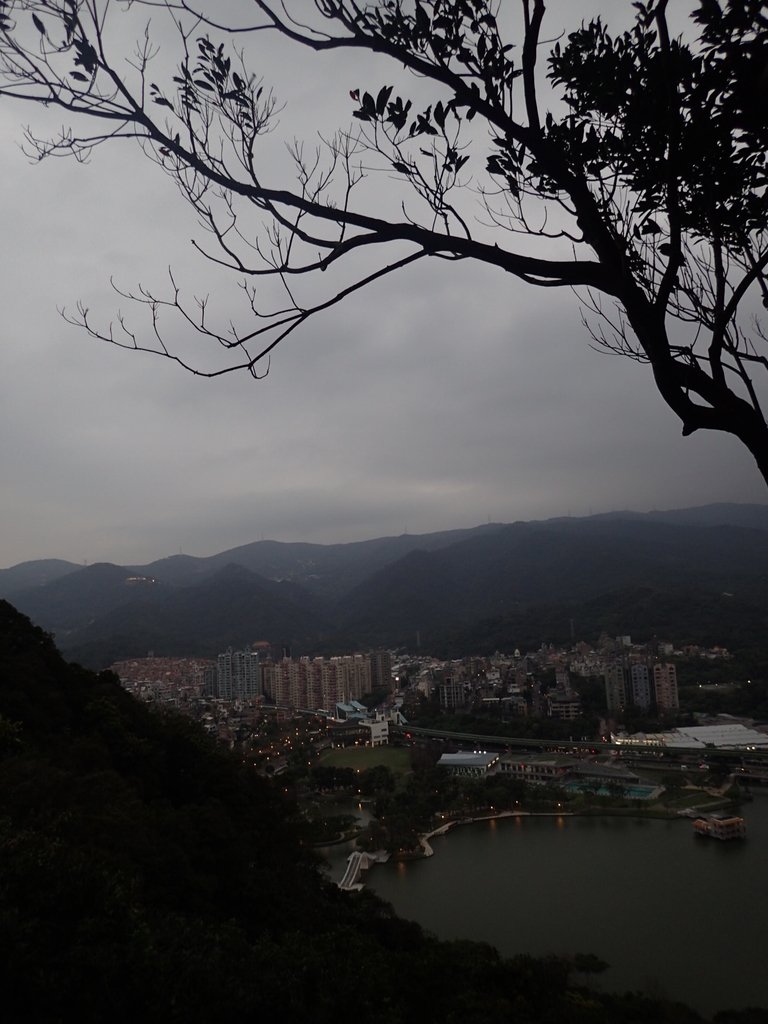 P3116954.JPG - 內湖  白鷺鷥山親山步道