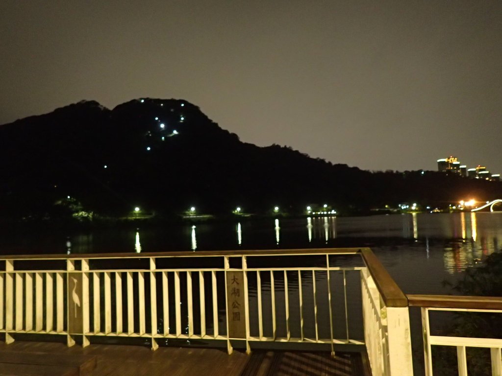 P3117019.JPG - 內湖  大湖公園之夜色