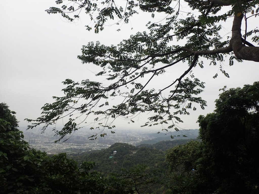 P2095055.JPG - 太平  三汀山  (望高寮)