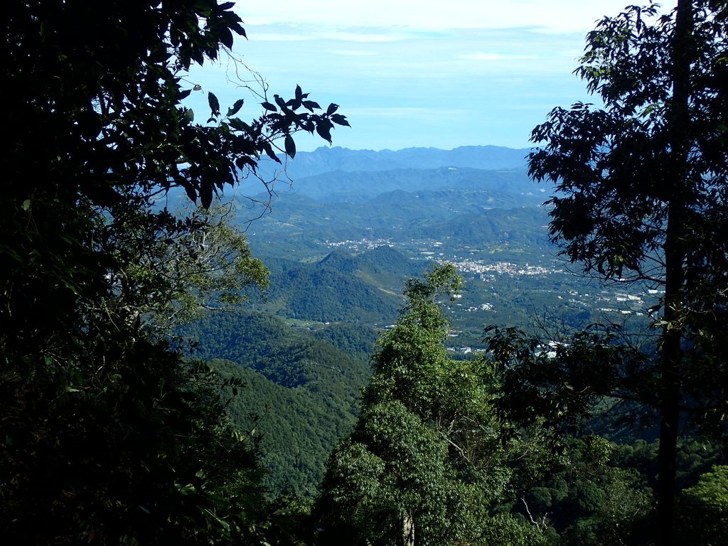 P7105114.JPG - 魚池  水社大山