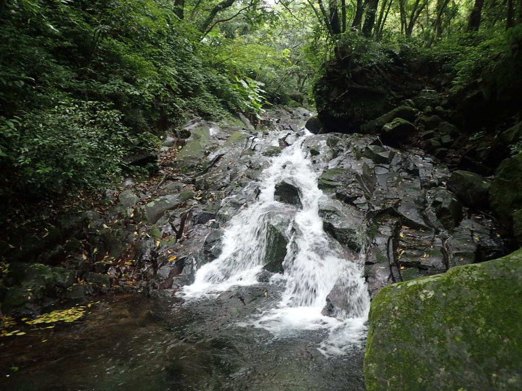 P6114290.JPG - 三芝  大屯溪古道