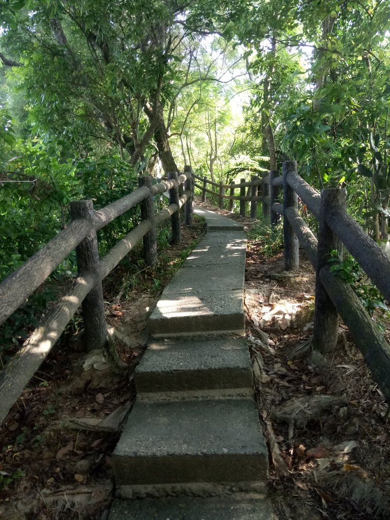 DSC_2067.JPG - 大社  觀音山步道