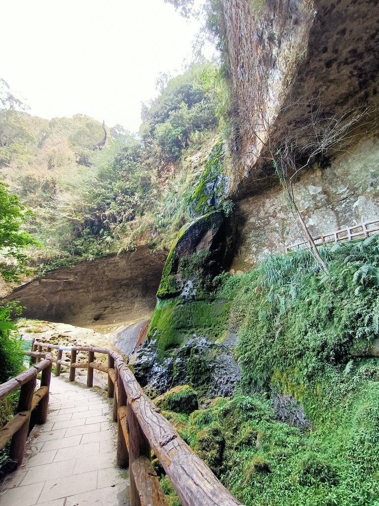 IMG20210205122442.jpg - 竹山  杉林溪森林遊樂園  路過