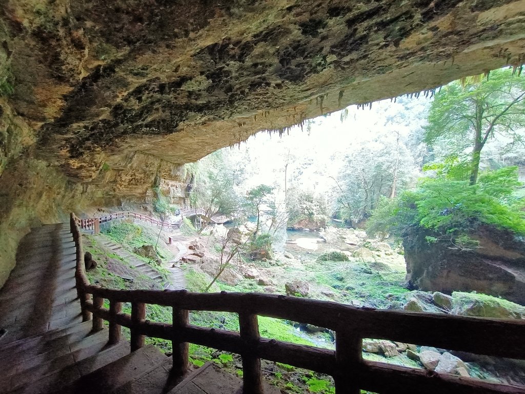 IMG20210205122921.jpg - 竹山  杉林溪森林遊樂園  路過