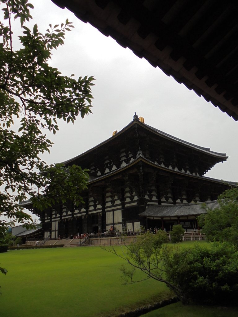 DSC03884.JPG - 奈良  東大寺