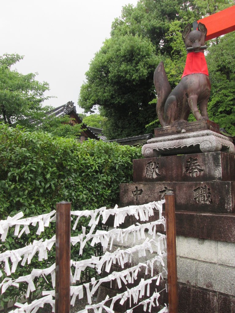 IMG_3676.JPG - 伏見稻荷神社  千本鳥居