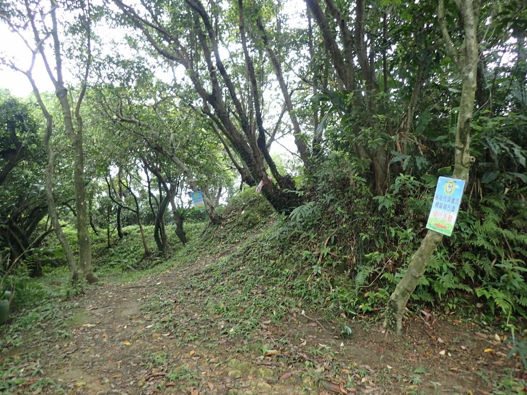 P4143544.JPG - 基隆  五坑山  總督嶺步道