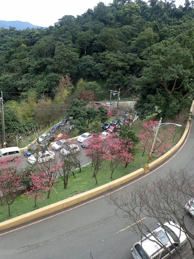 P2178234.JPG - 中和  南勢角山  (烘爐地)