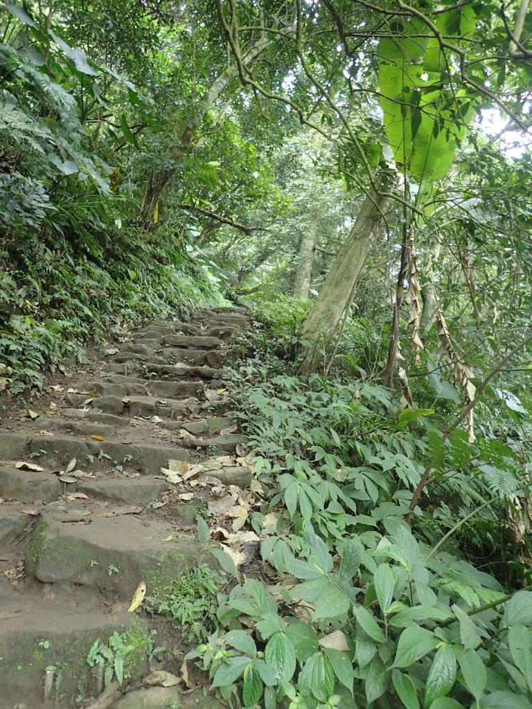 P2107487.JPG - 大溪  溪洲山登山步道