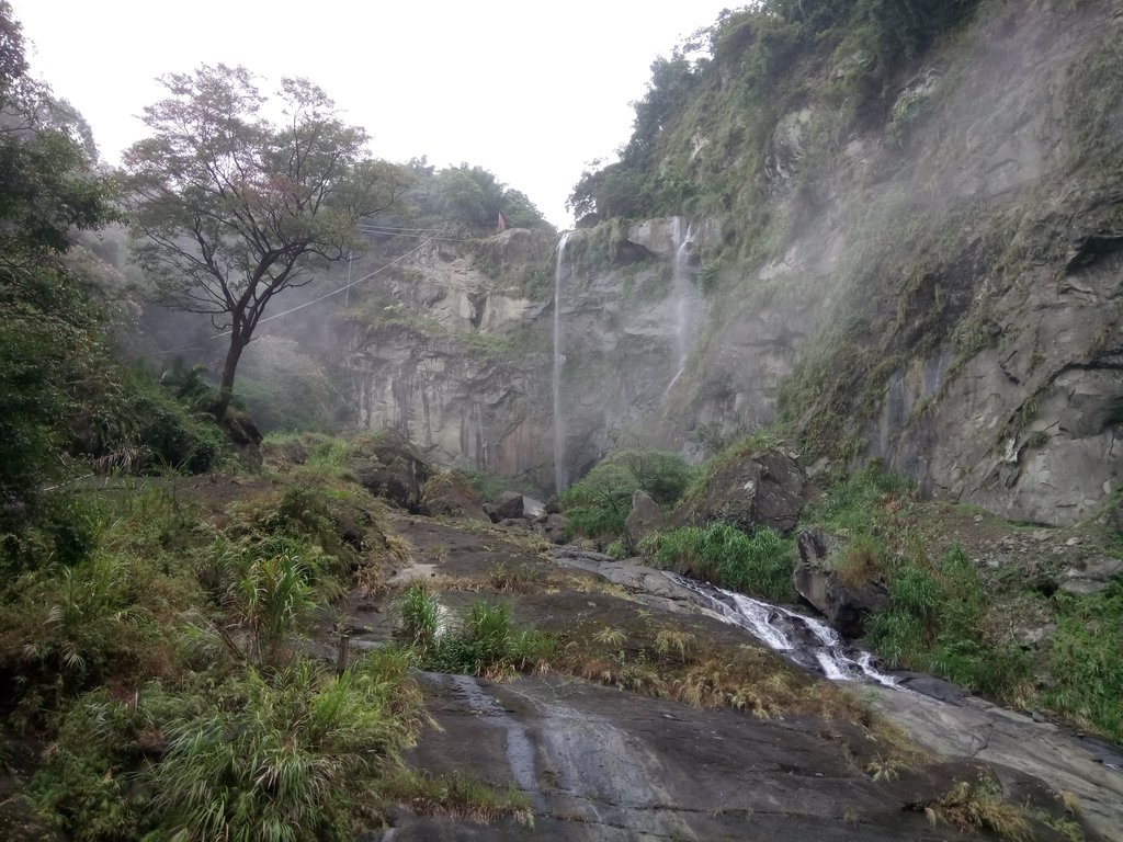 DSC_1169.JPG - 草嶺  蓬萊瀑布步道