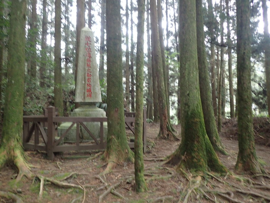 P3257970.JPG - 阿里山  二萬坪步道