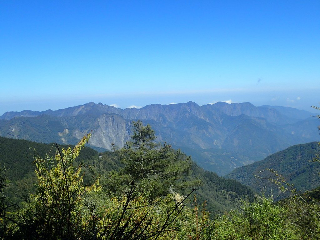 P3268075.JPG - 鹿林山  麟趾山步道  (01)