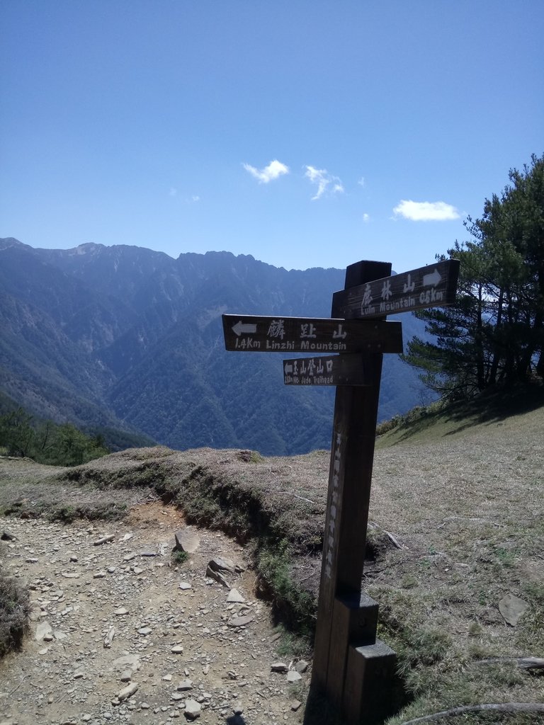 DSC_1703.JPG - 鹿林山  麟趾山步道  (02)