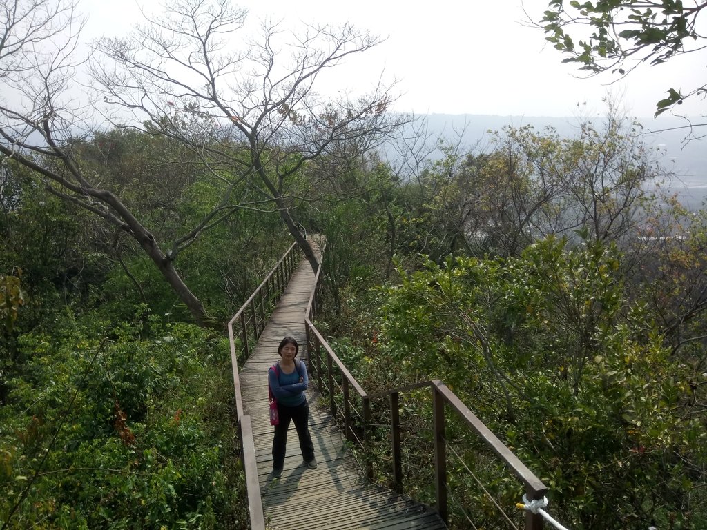 DSC_7305.JPG - 草屯平林  九九峰森林步道