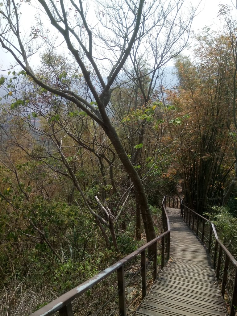 DSC_7295.JPG - 草屯平林  九九峰森林步道