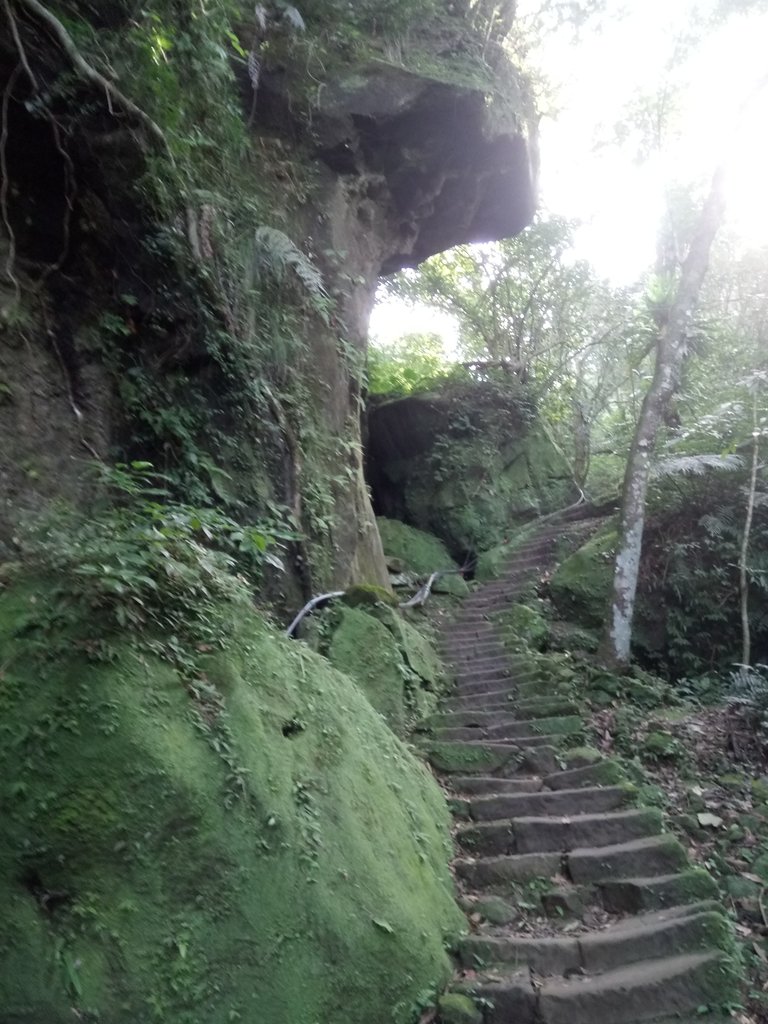 DSC_2169.JPG - 再訪---  平溪  孝子山登山步道