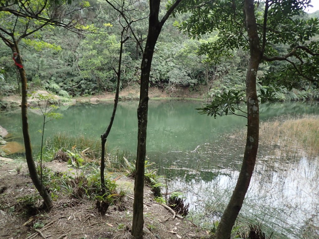 P3160133.JPG - 汐止  柯子林山  如意湖