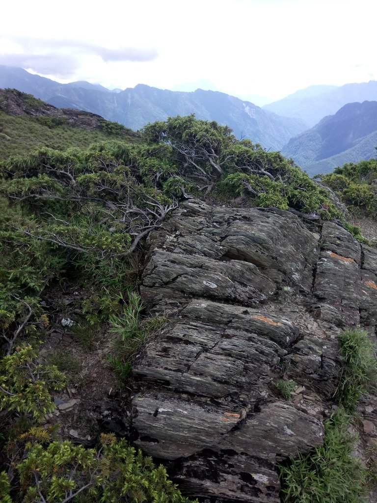 DSC_5419.JPG - 合歡山  北峰之美  (下)