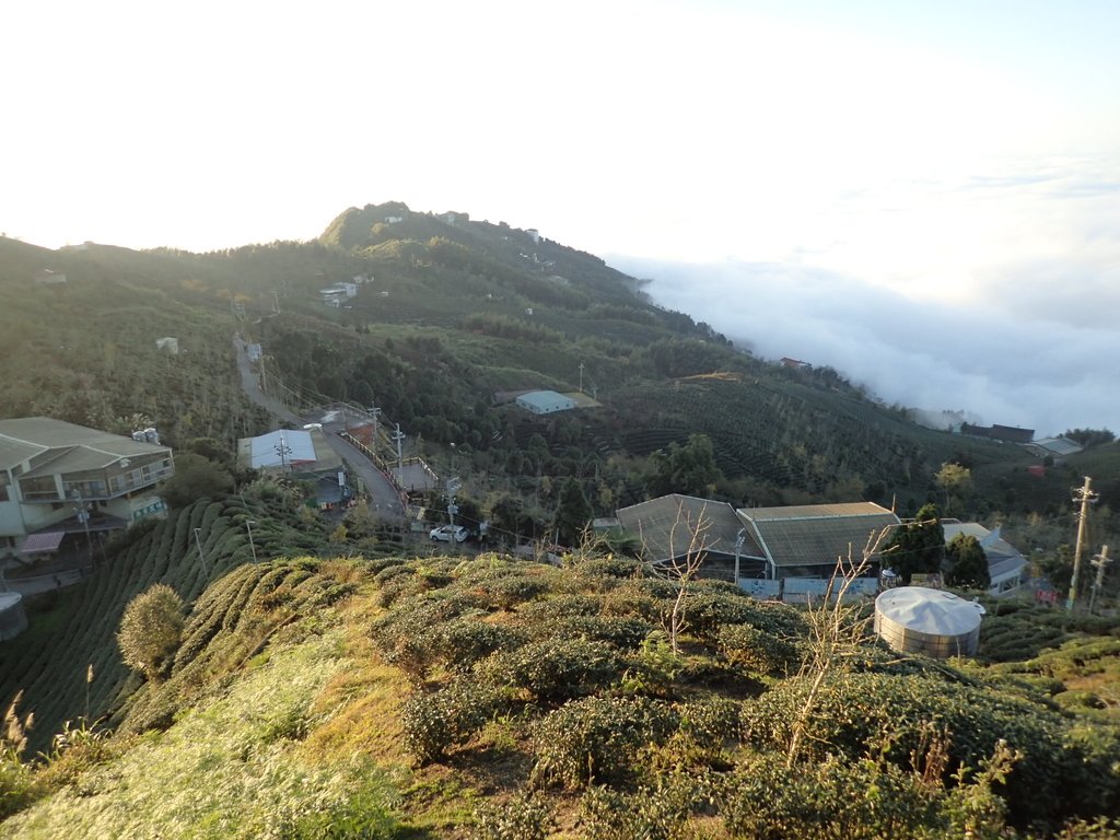 P1076389.JPG - 鹿谷  大崙山  觀霧亭之  暮光