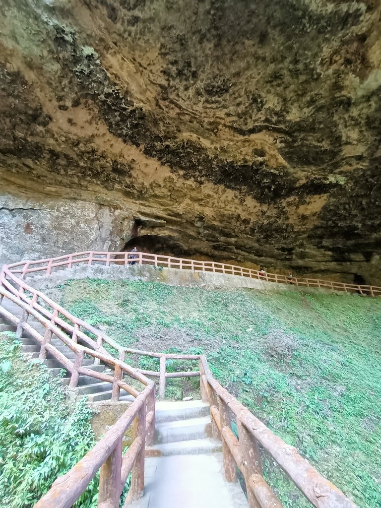 IMG20210205122448.jpg - 竹山  杉林溪森林遊樂園  路過