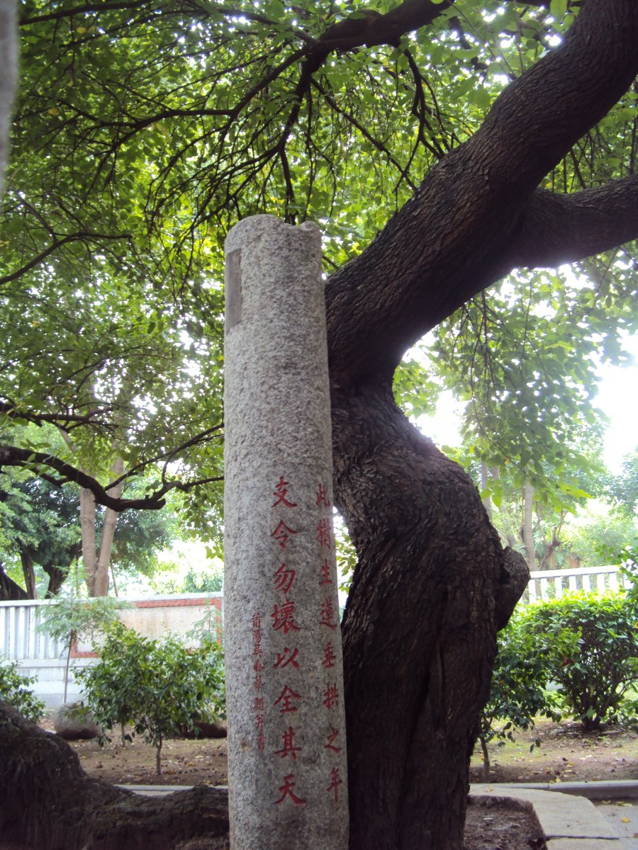 DSC09828.JPG - 泉州  開元寺