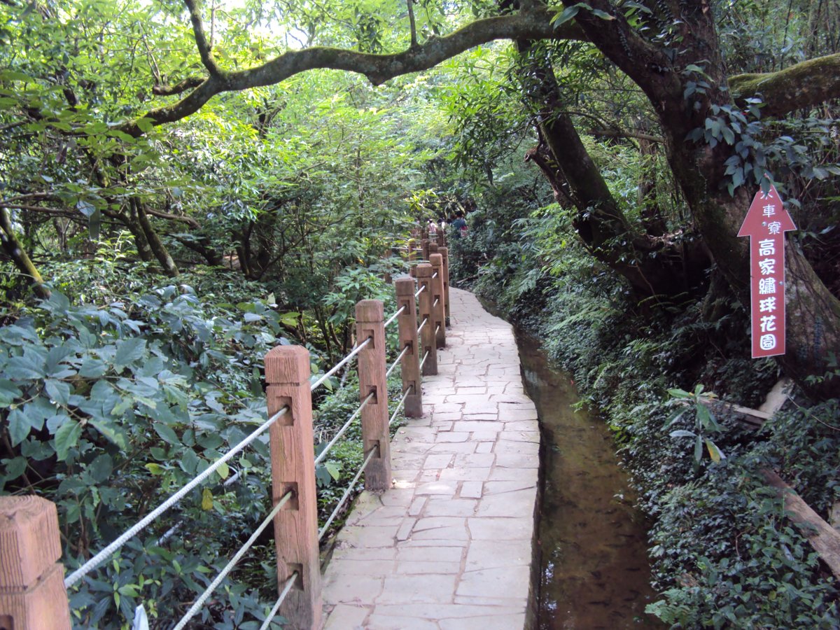 DSC08419.JPG - 水車寮  高家繡球花園