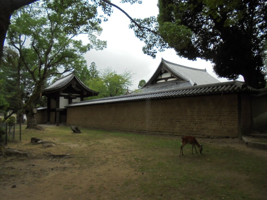 DSC03888.JPG - 奈良  東大寺