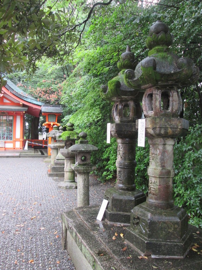 IMG_3682.JPG - 伏見稻荷神社  千本鳥居