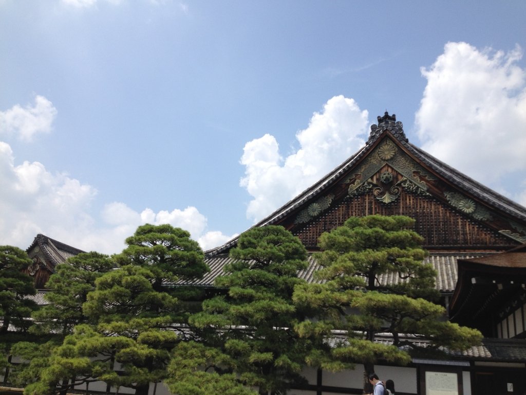 IMG_3028.JPG - 京都  二條城(上)