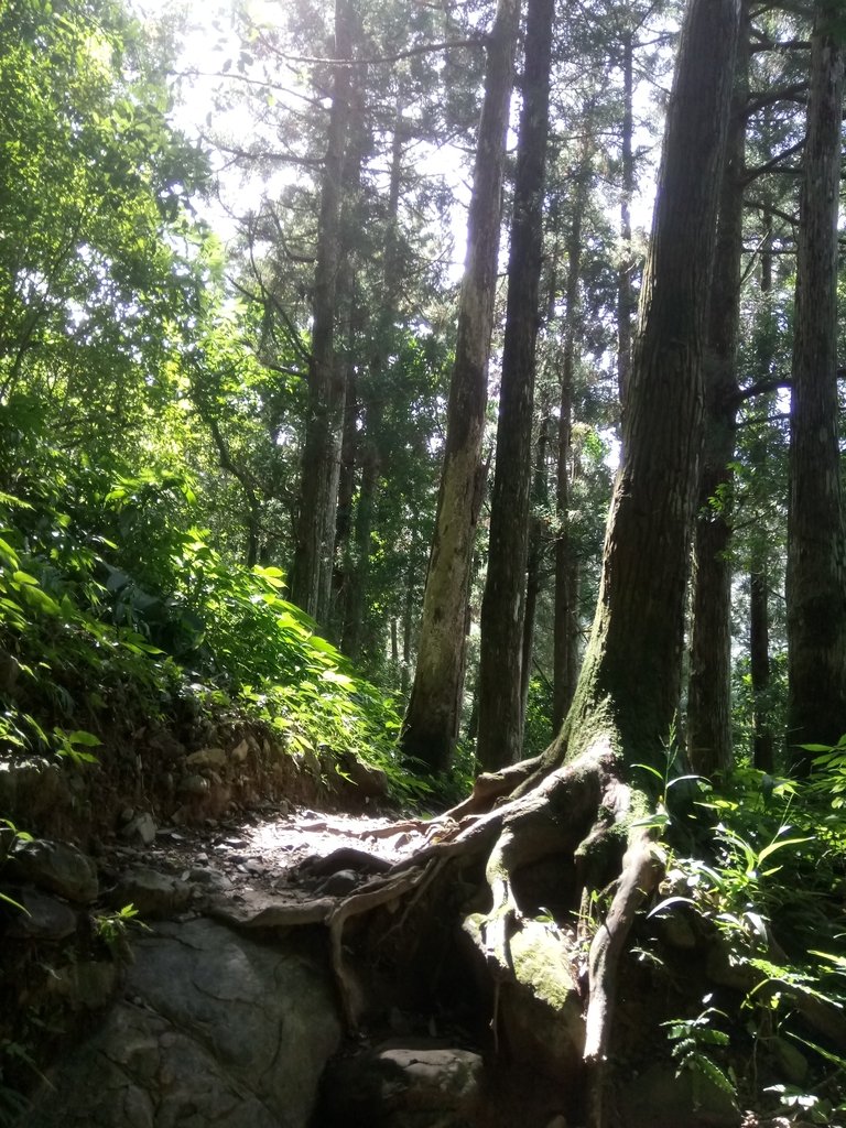 DSC_4168.JPG - 再訪---  三峽  雲森瀑布